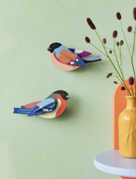 Finches (B6)