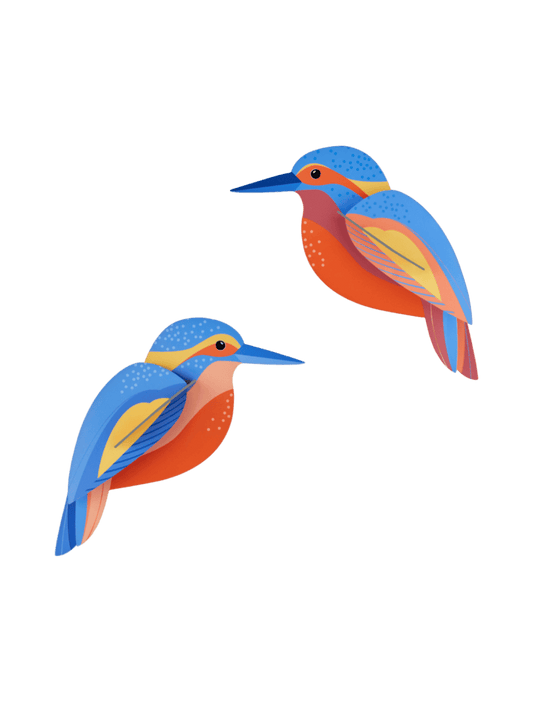 Kingfishers (B6)