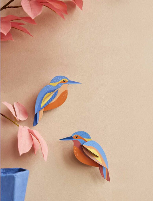 Kingfishers (B6)