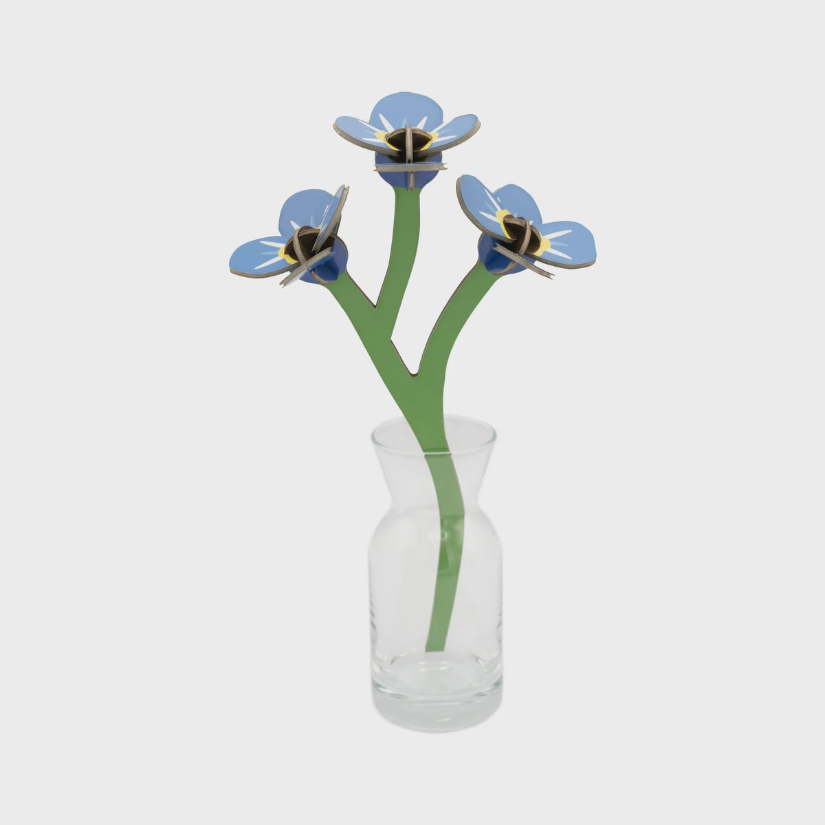 Everlasting Flowers - Forget Me Not