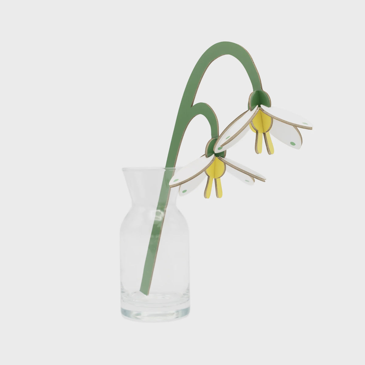 Everlasting Flowers - Spring Bells