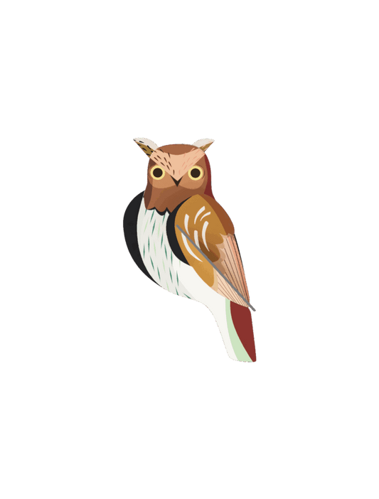 Tawny Owl (B6)